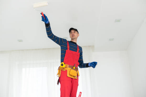 Best Repainting for Renovations  in USA